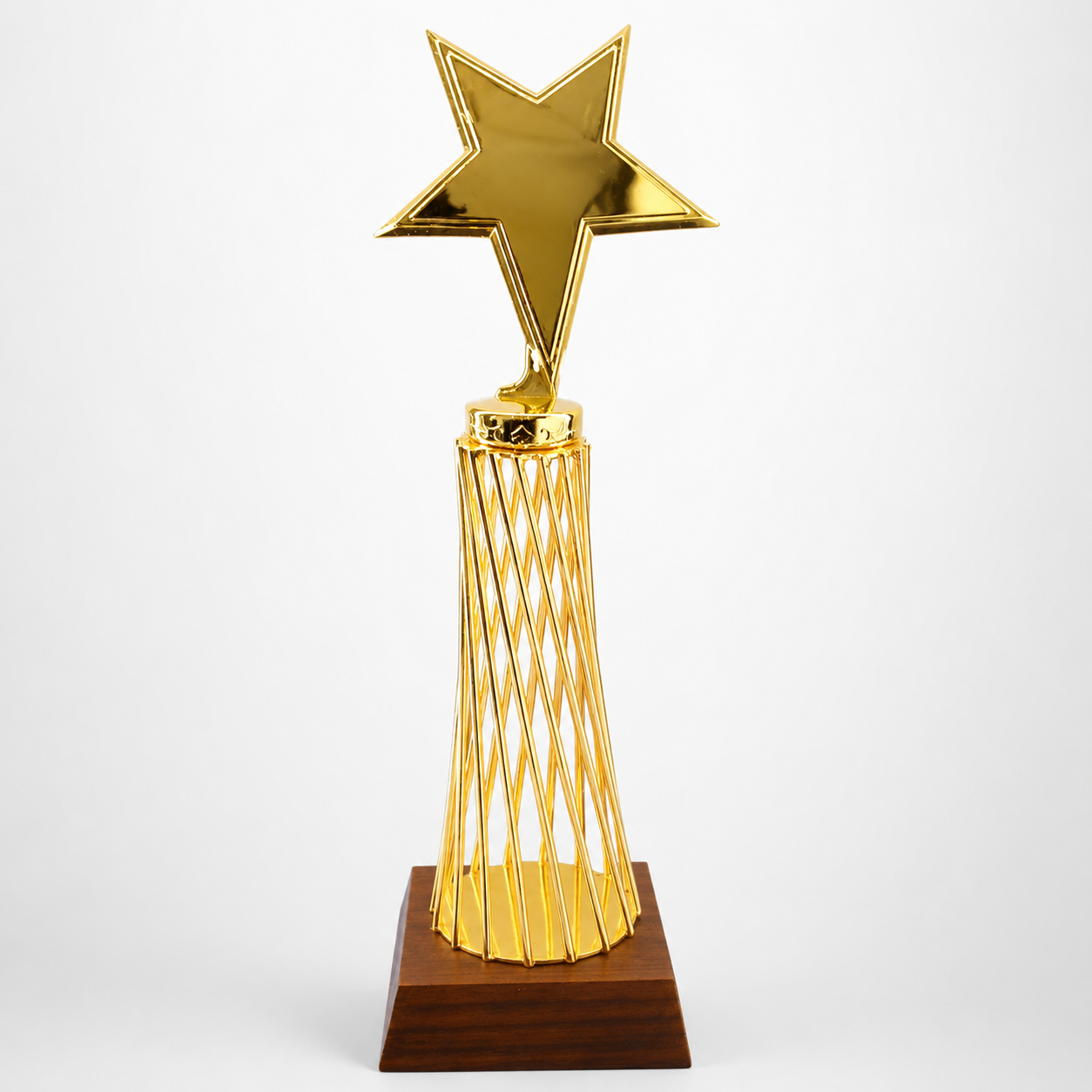Trophy Metal Dm 24025