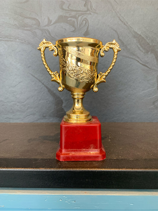 Trophy Plastic 6123A