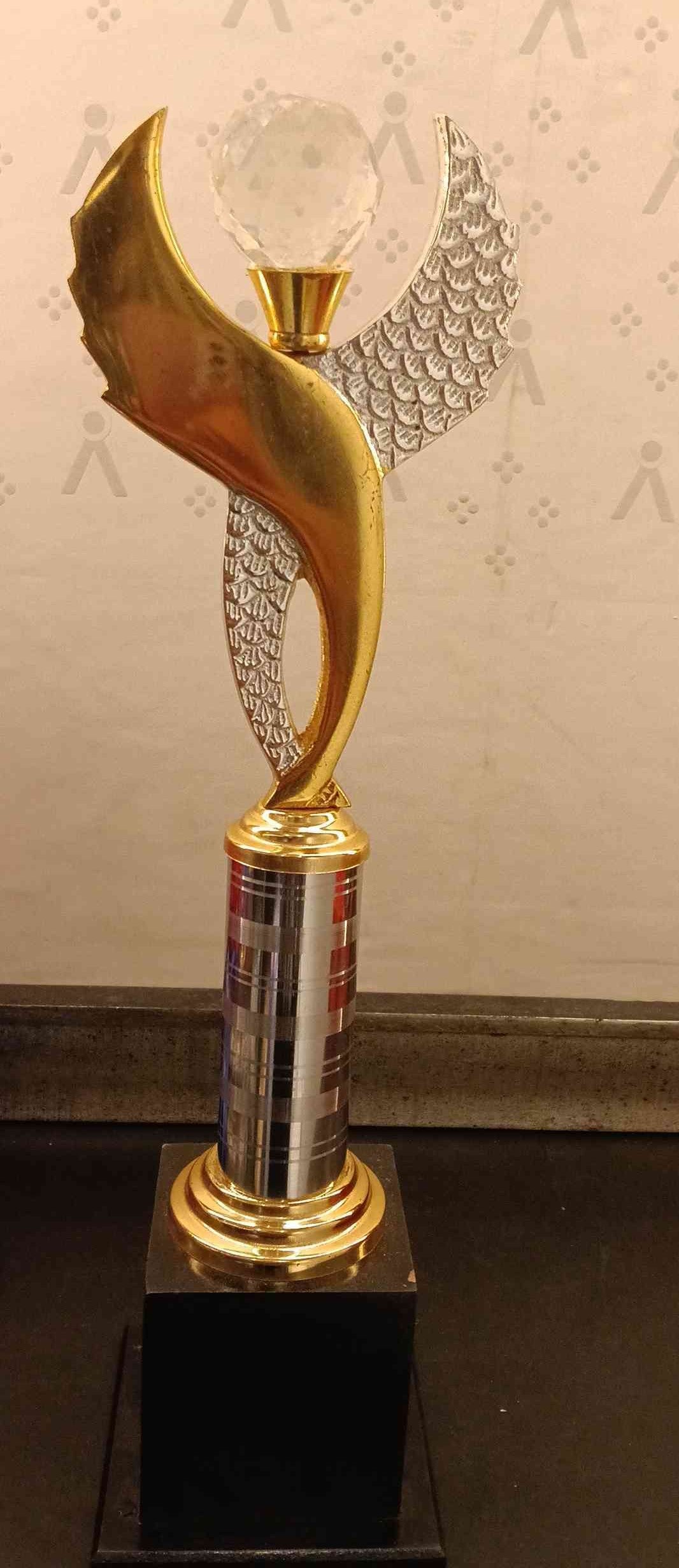 Trophy Metal 113 3