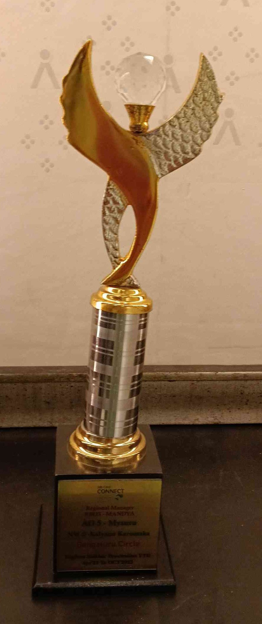 Trophy Metal 113 1