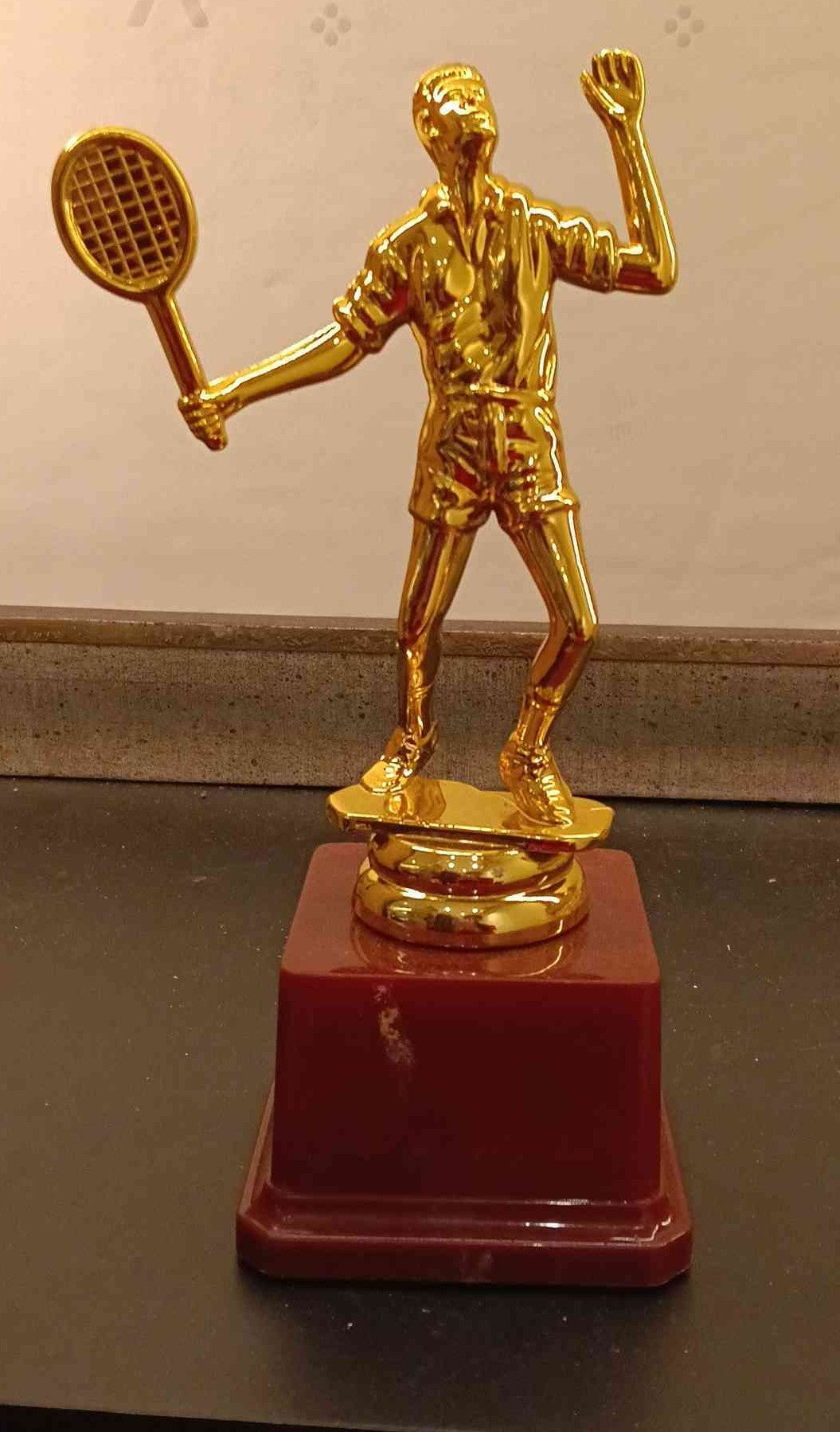 Trophy Plastic 465 A