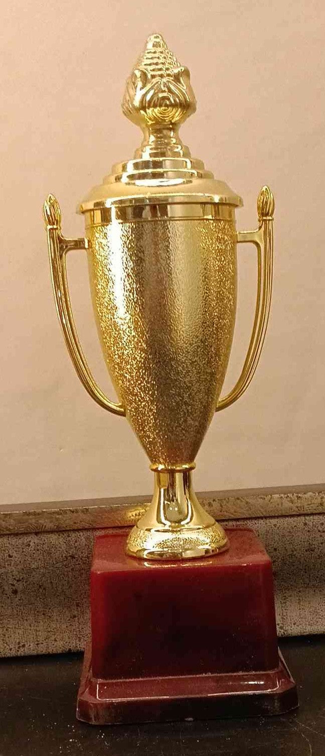 Trophy Plastic 276 B