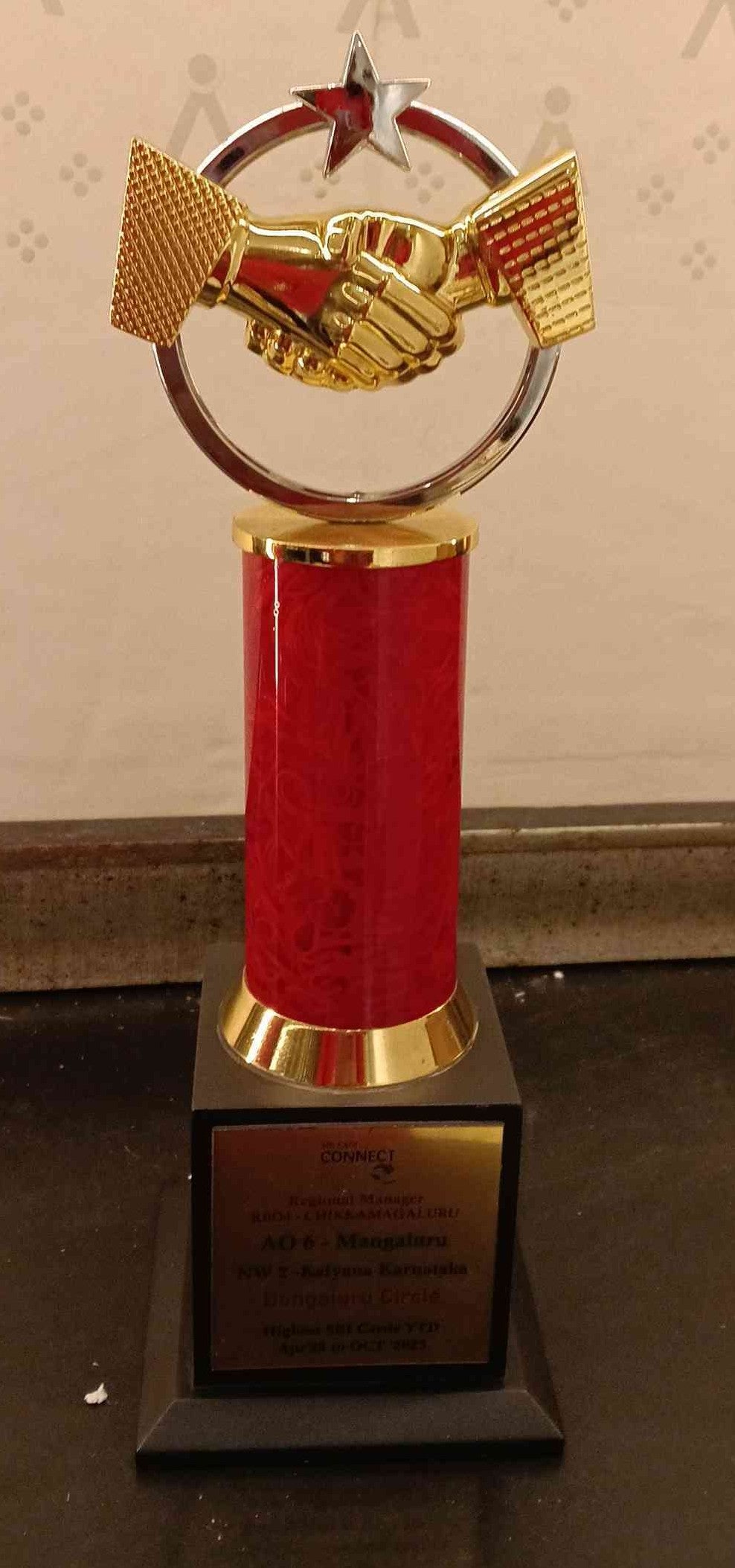 Trophy Metal 2691