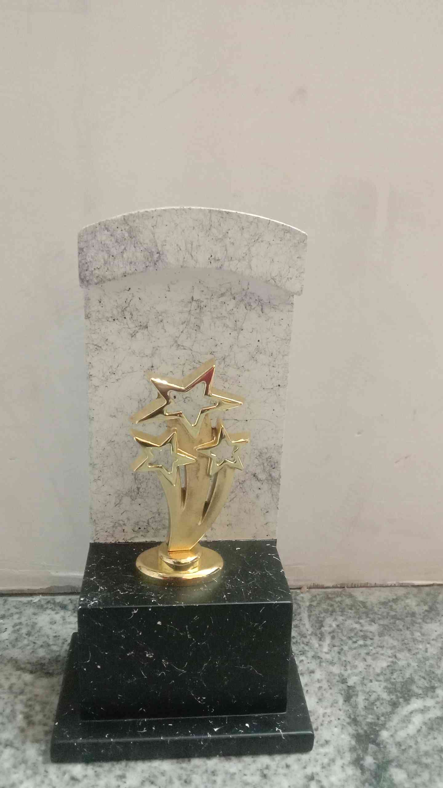 Trophy Wood 2189 A