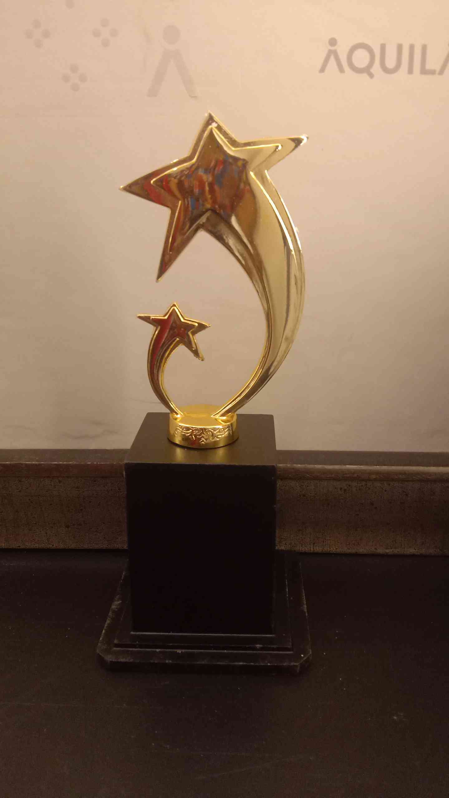 Trophy Metal 2310