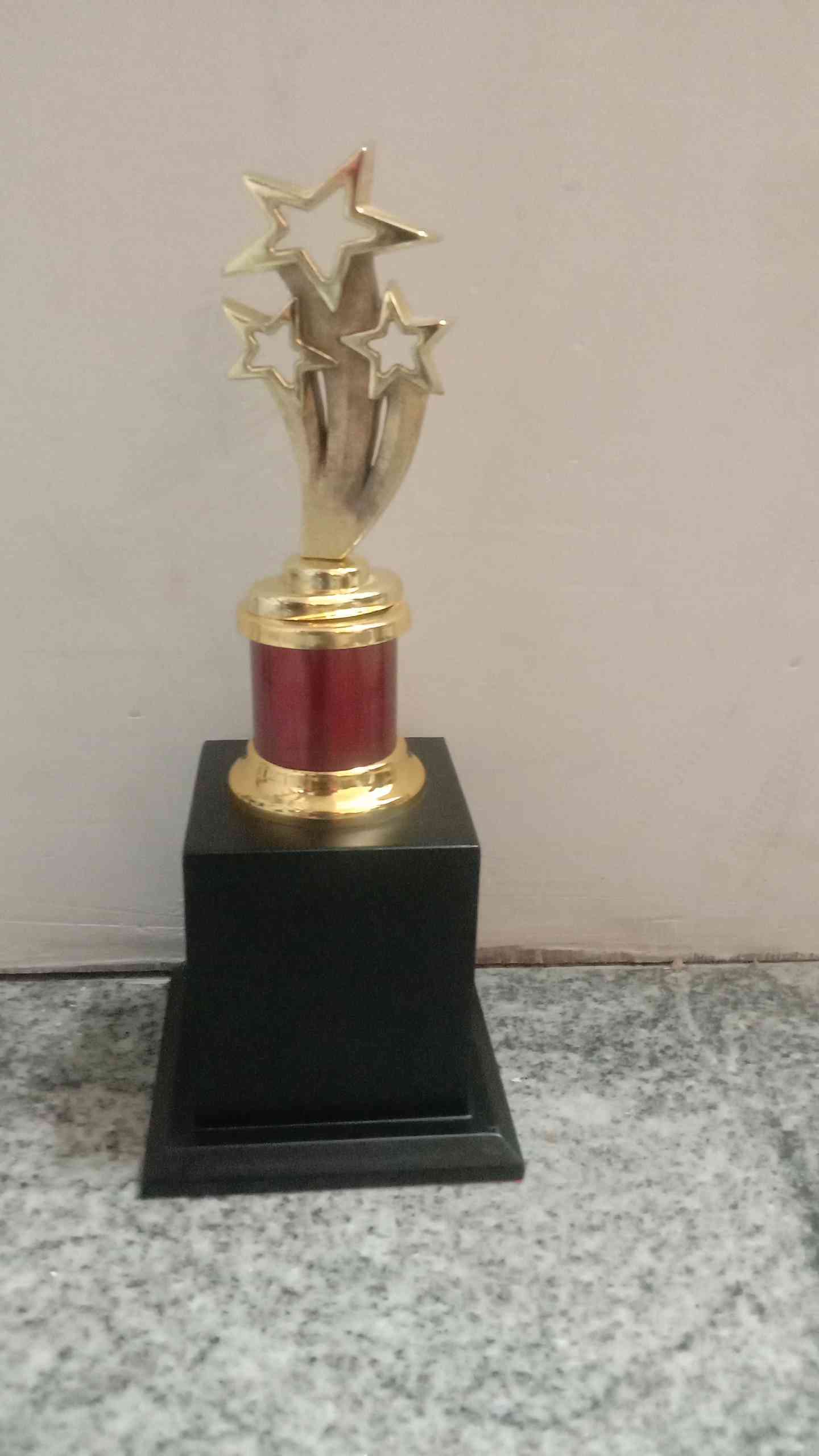 Trophy Metal 2205