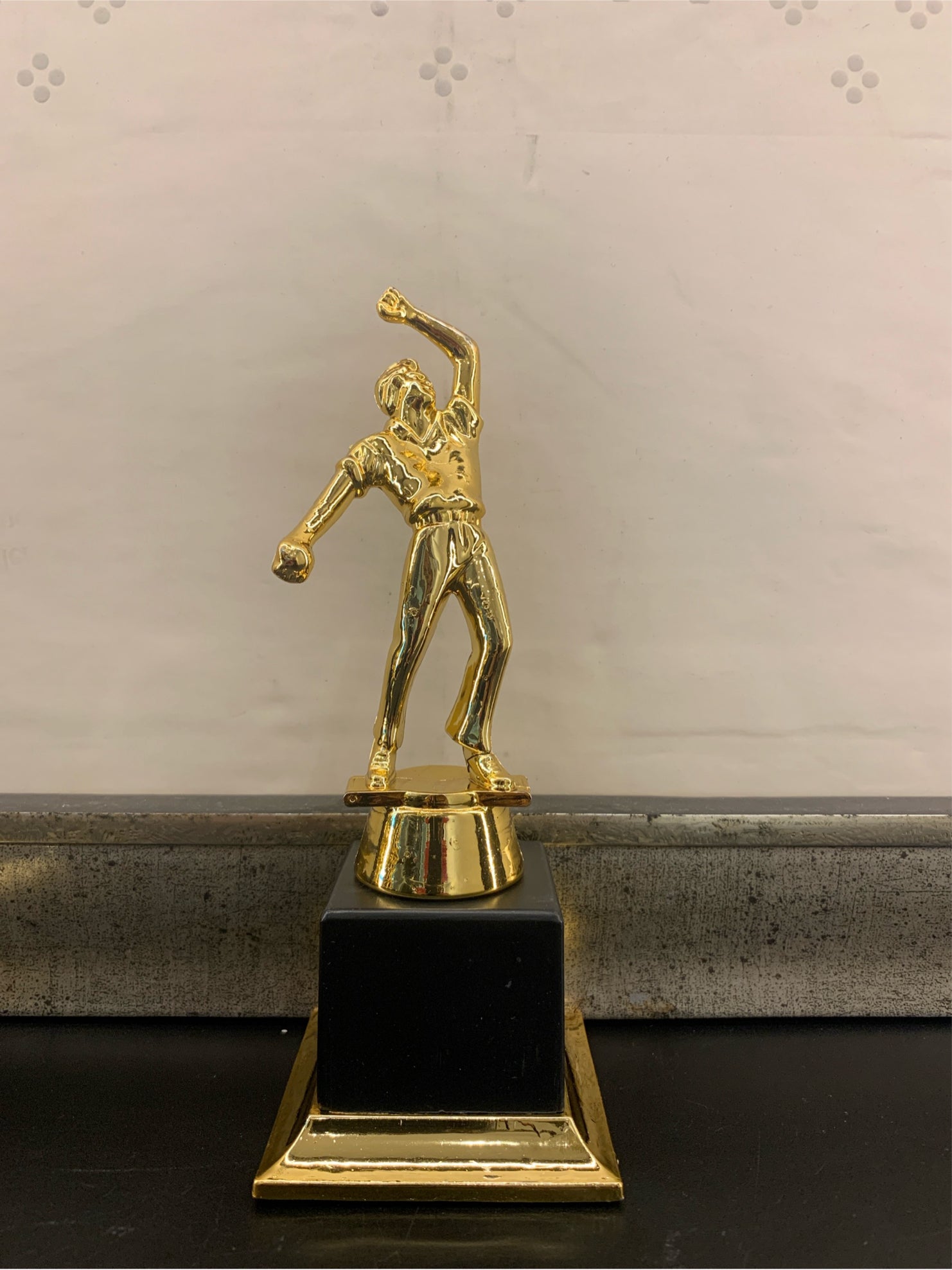 Trophy Plastic 816