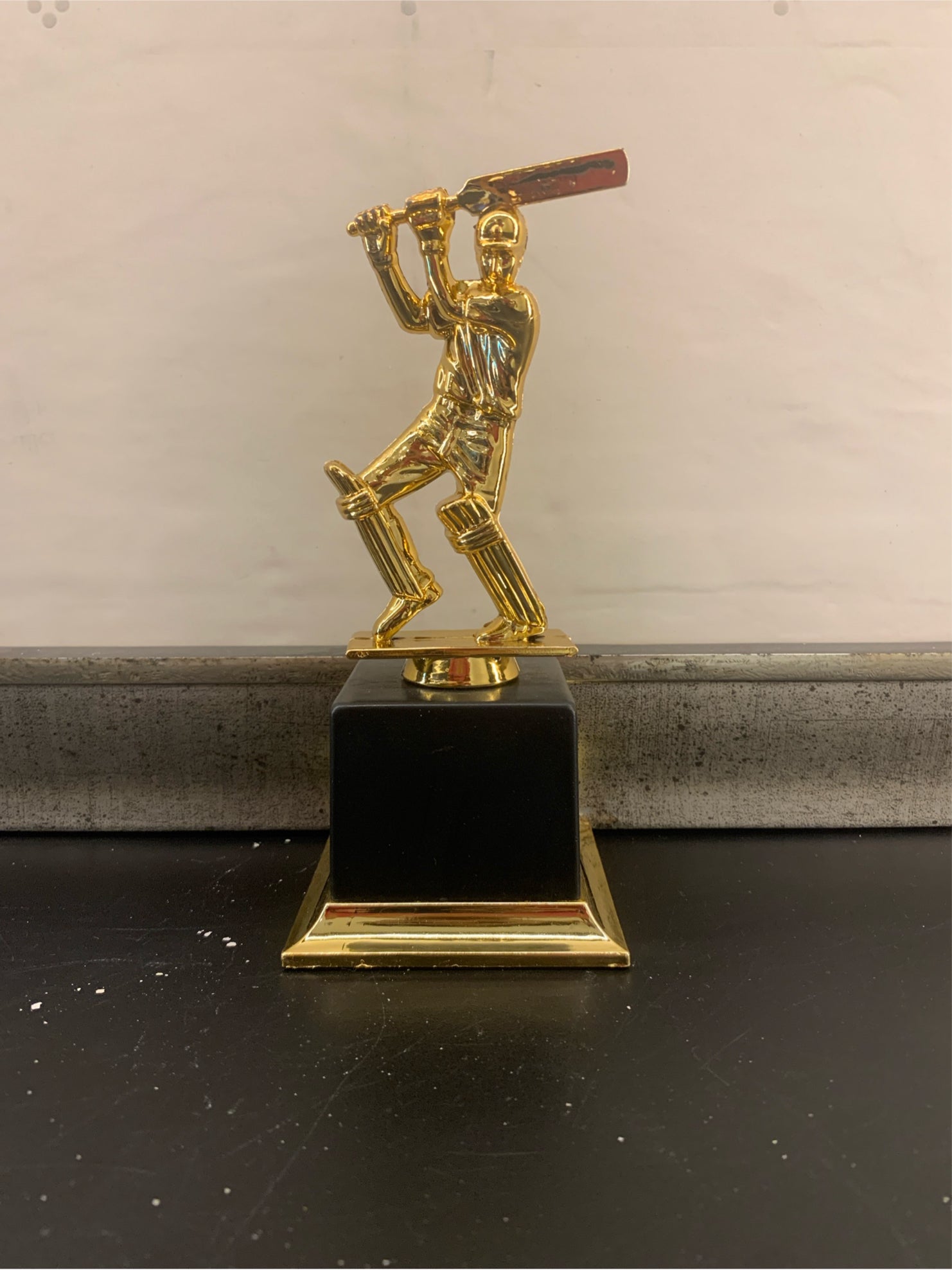 Trophy Plastic 804