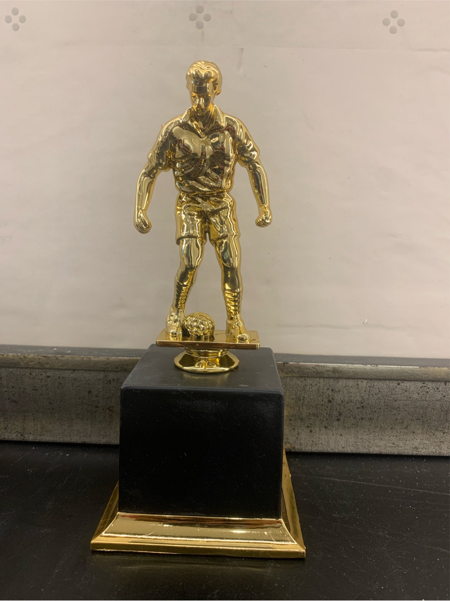 Trophy Plastic 803