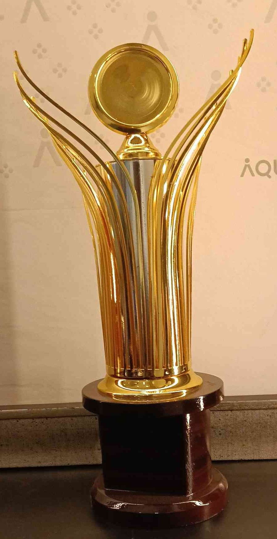 Trophy Metal Dm 24042