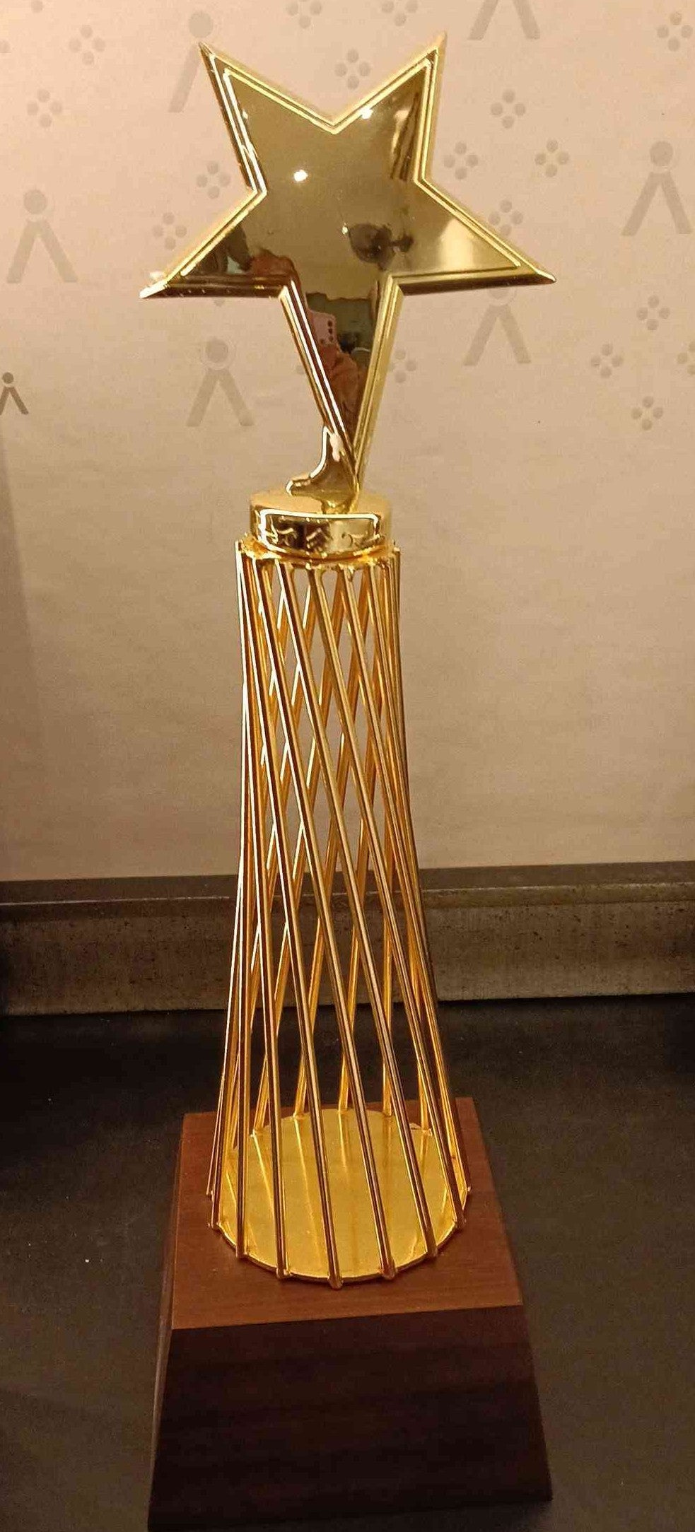 Trophy Metal Dm 24025