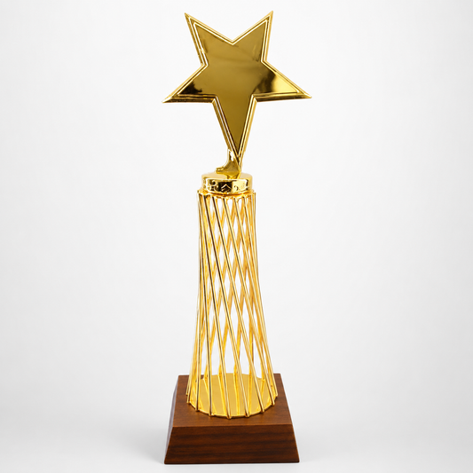 Trophy Metal Dm 24025