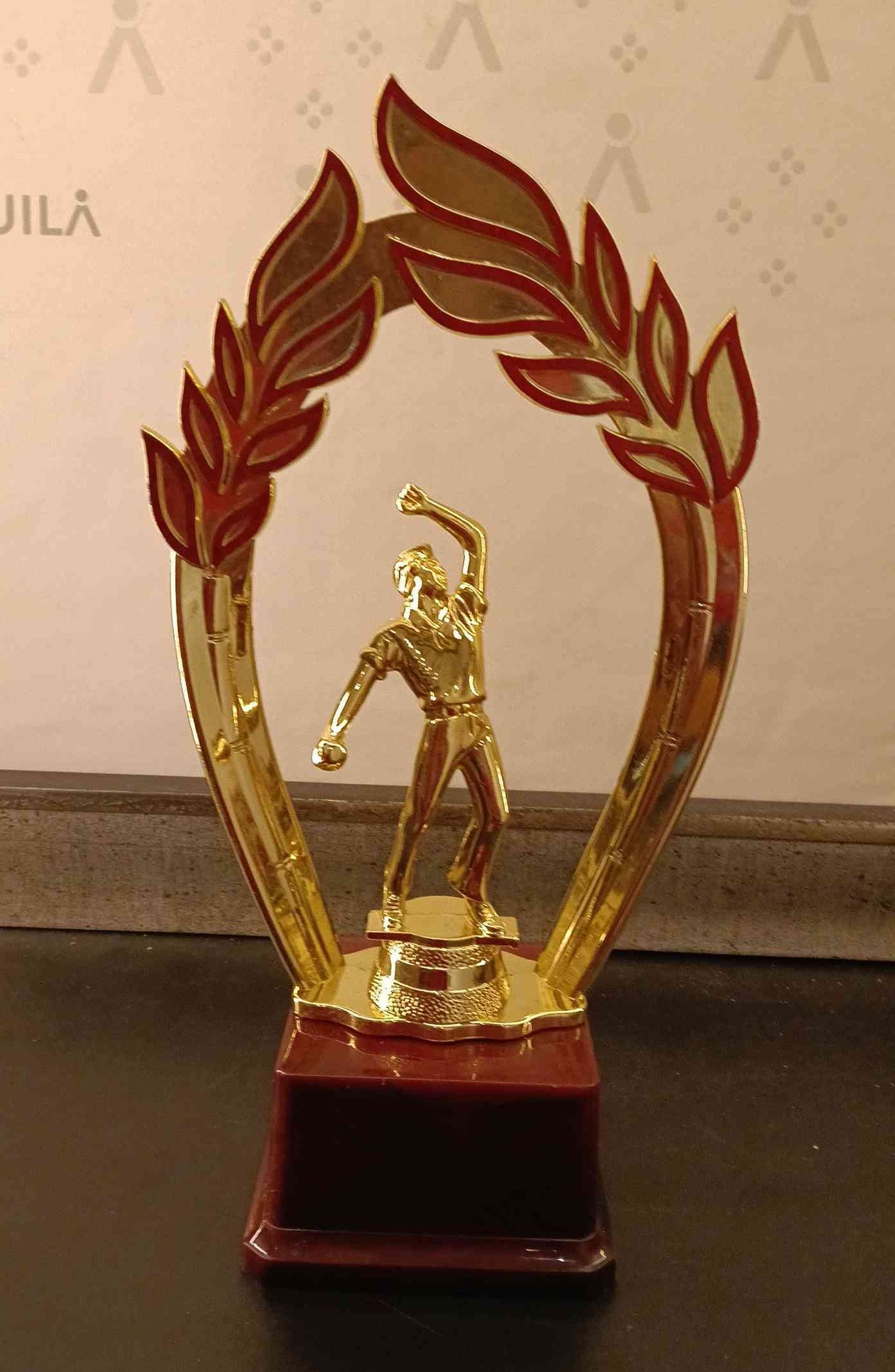 Trophy Plastic 470 C