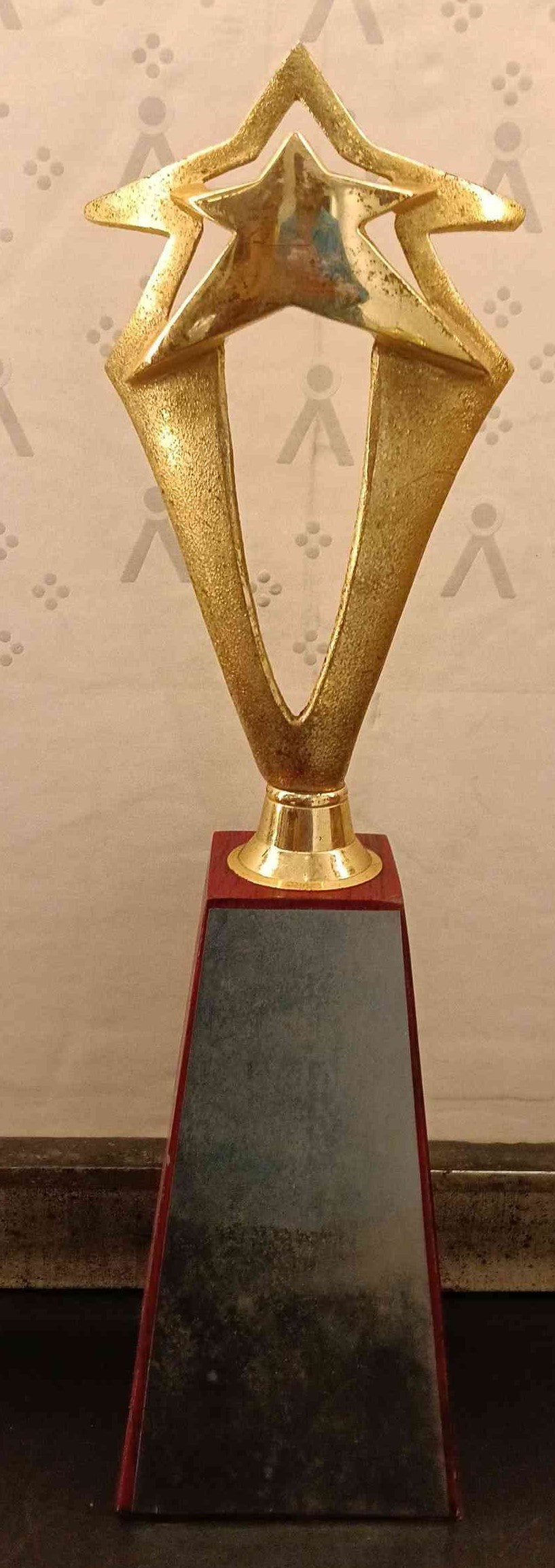 Trophy Metal 1070 3