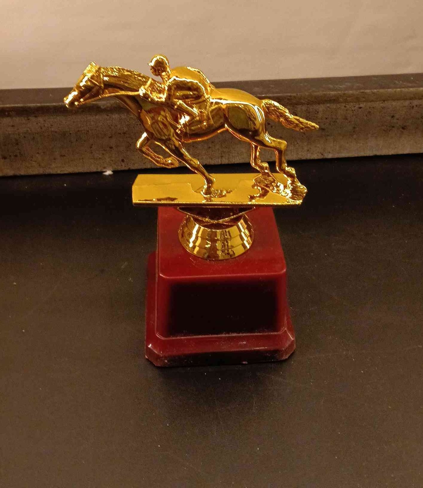 Trophy Plastic 839