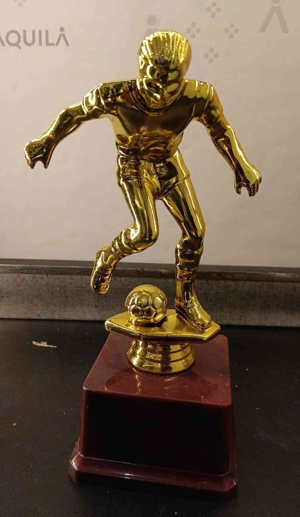 Trophy Plastic 411 A