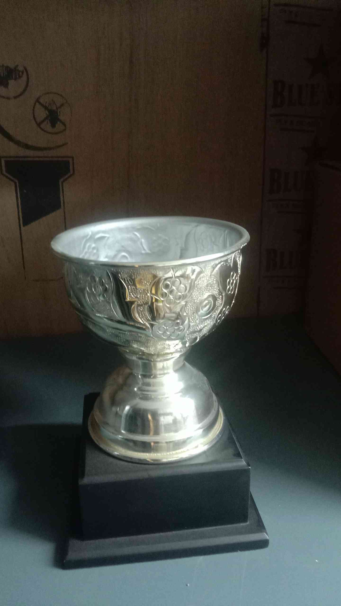 Cup Metal 3028