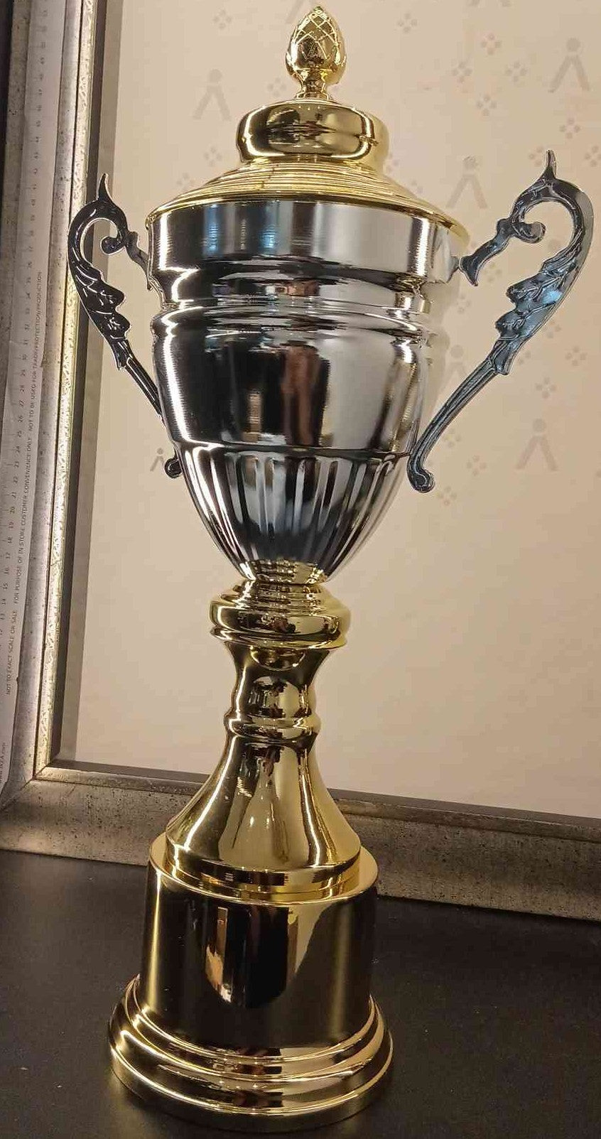 Trophy Metal 653/B