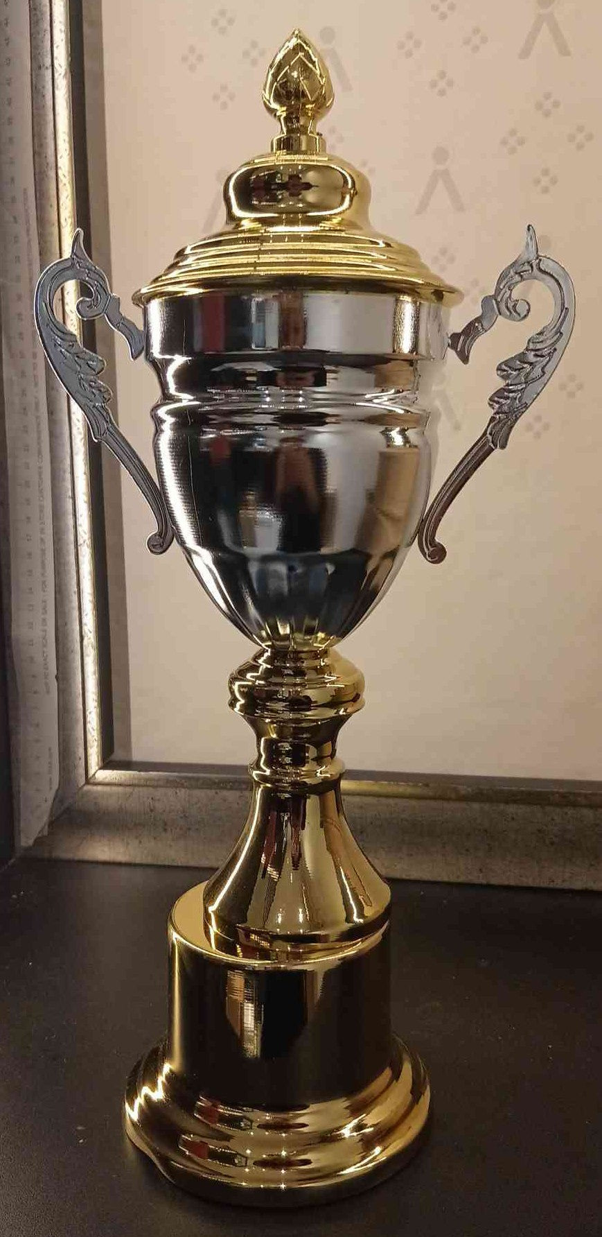 Trophy Metal 653/D