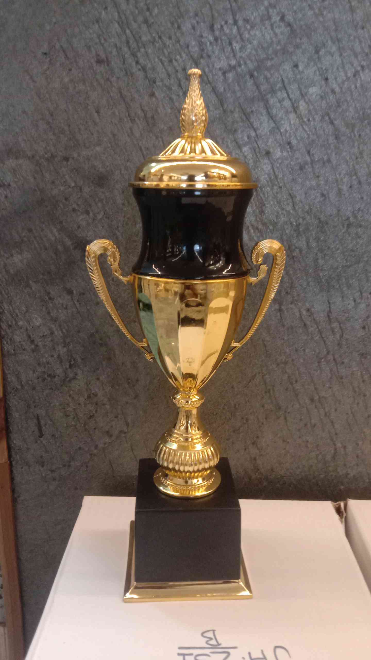 Trophy Plastic 5559 C