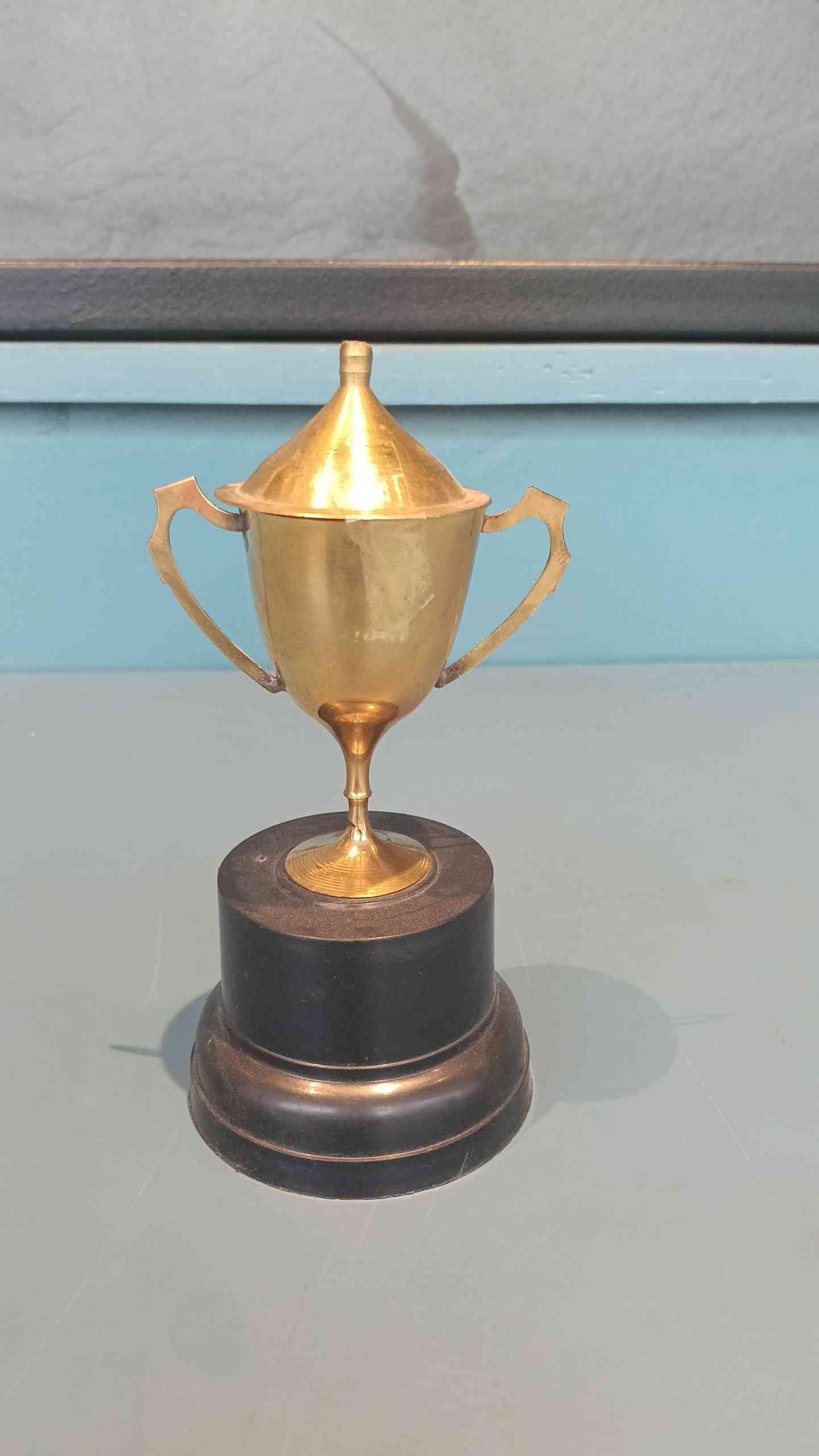 Cup Metal 508