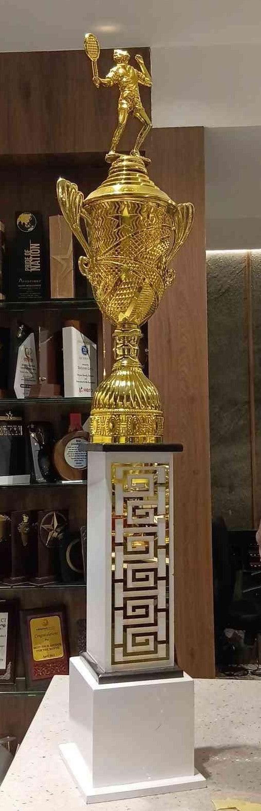 Trophy Metal 2035