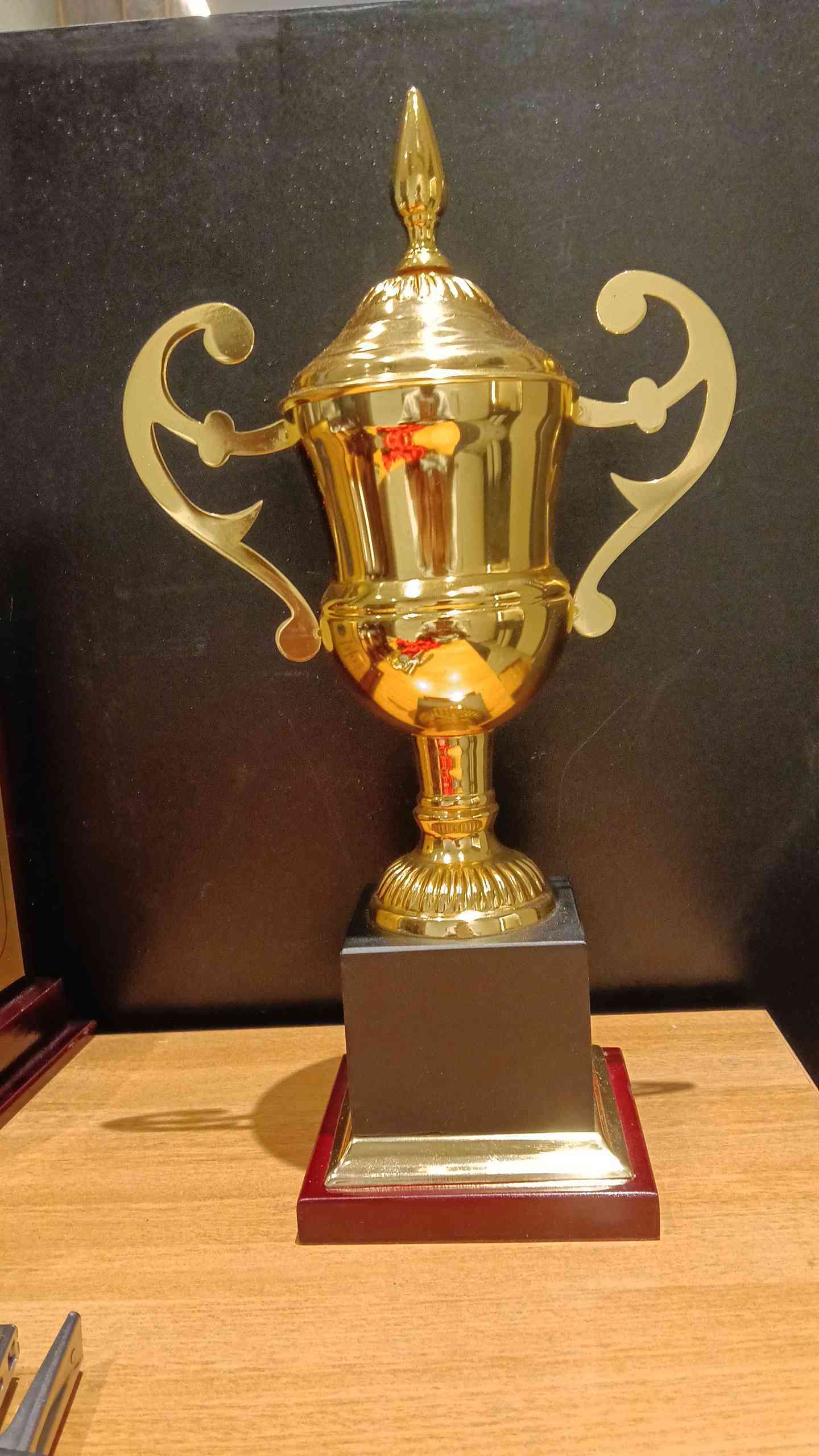 Trophy Metal 4026 C
