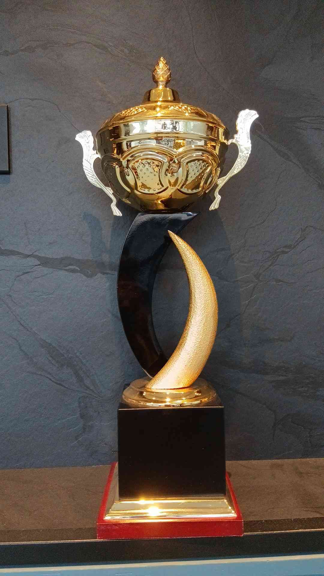 Trophy Metal 4308 B
