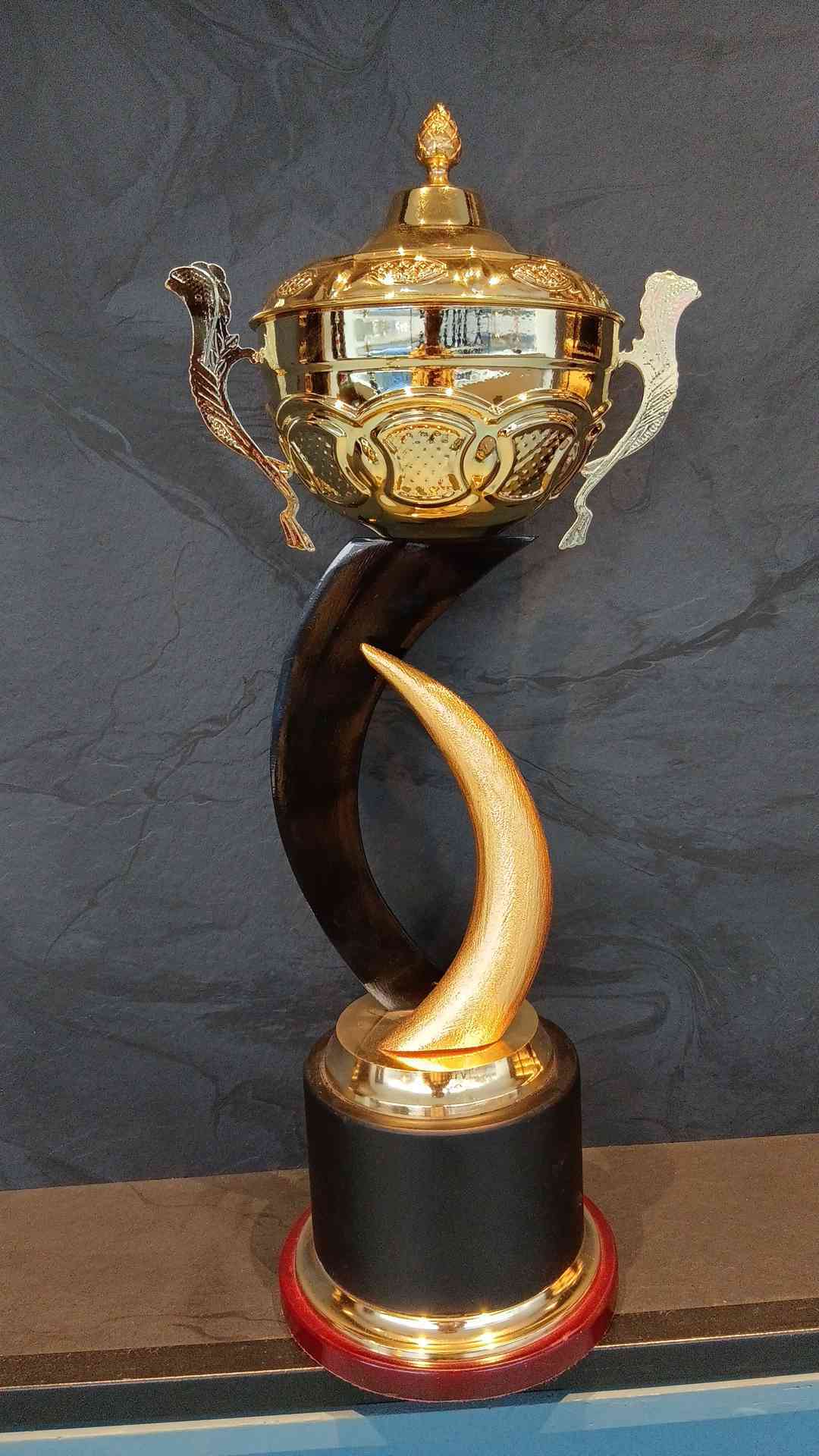 Trophy Metal 4308 C