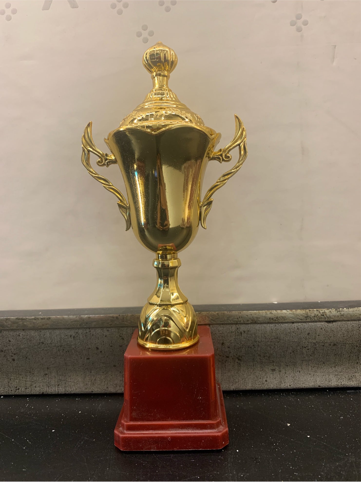 Trophy Plastic 113 A