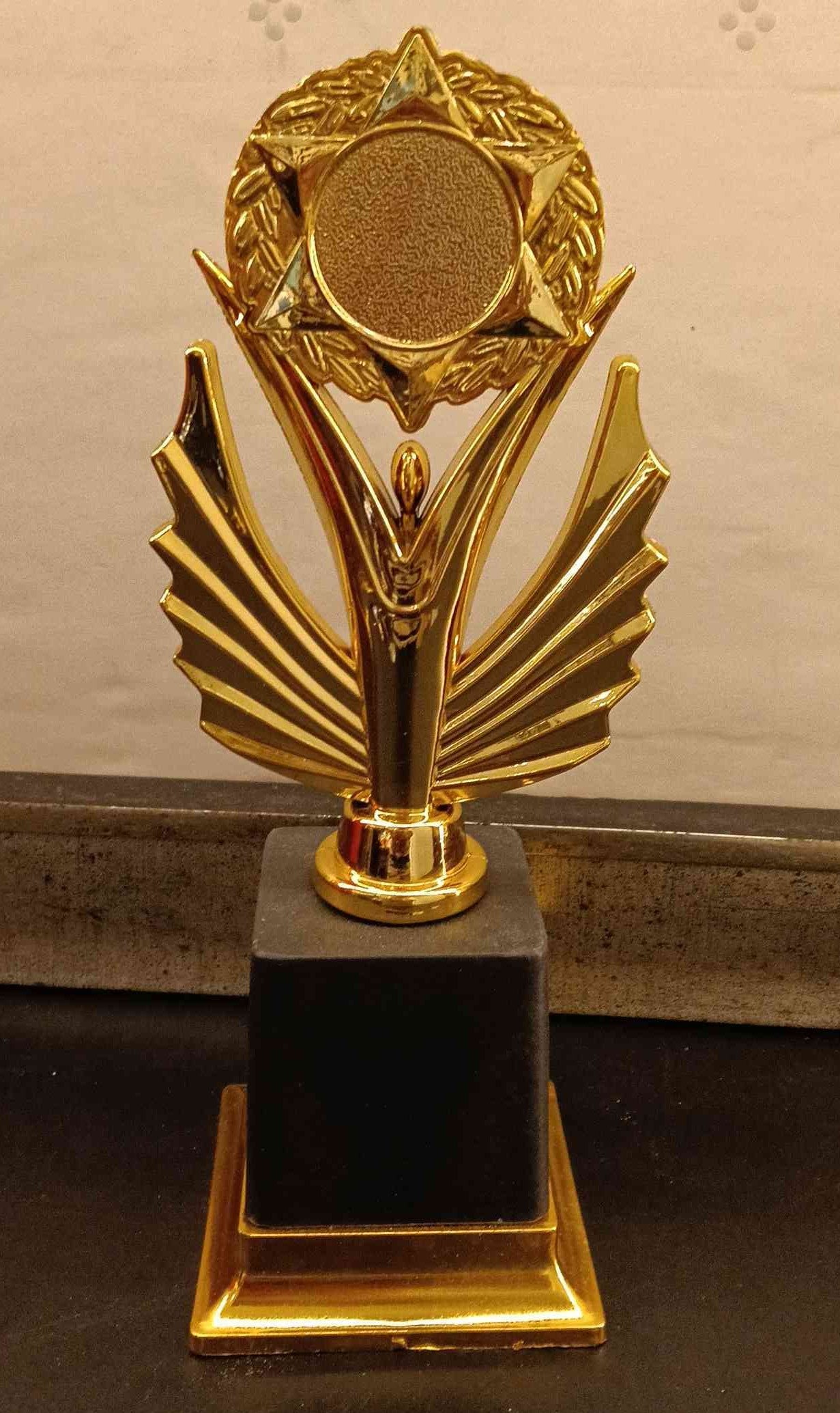 Trophy Plastic X347 B