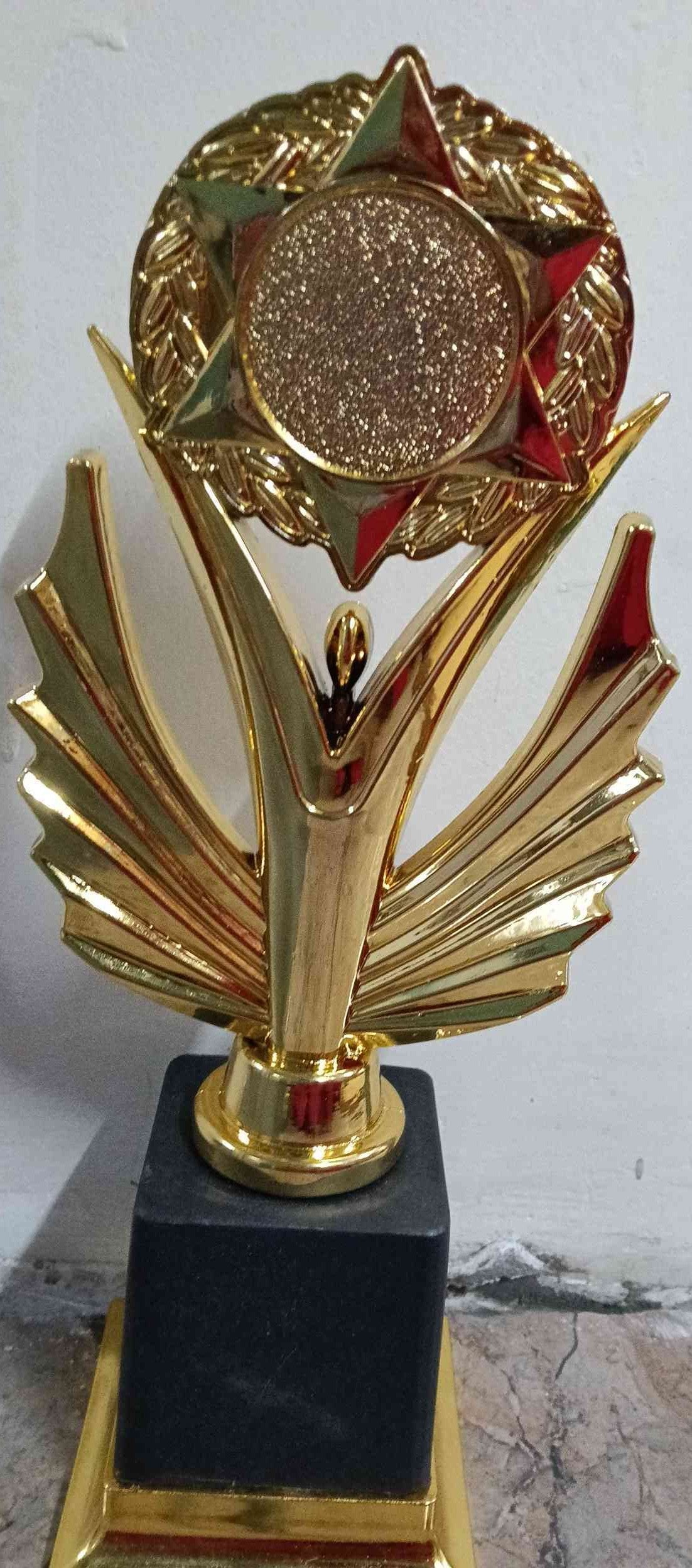 Trophy Plastic X347 C
