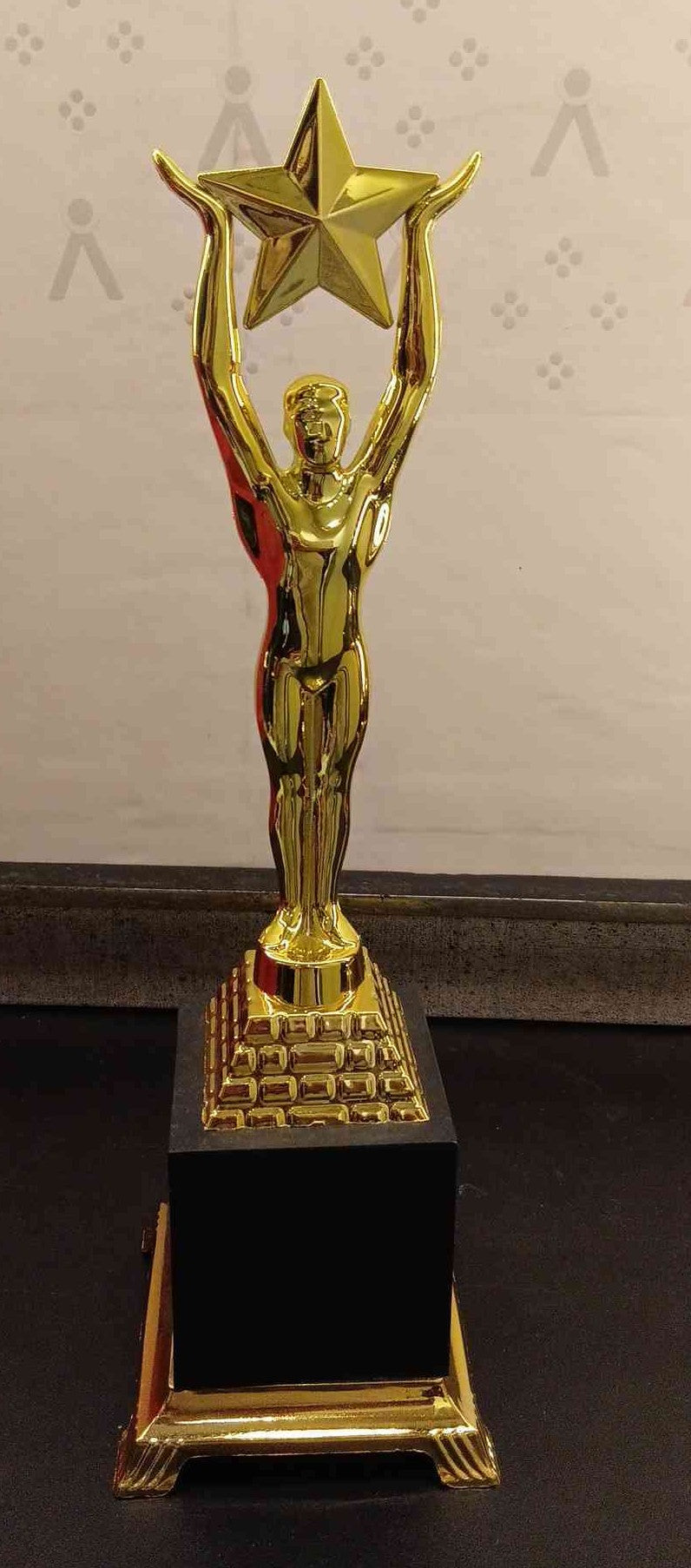 Trophy Plastic 500 G
