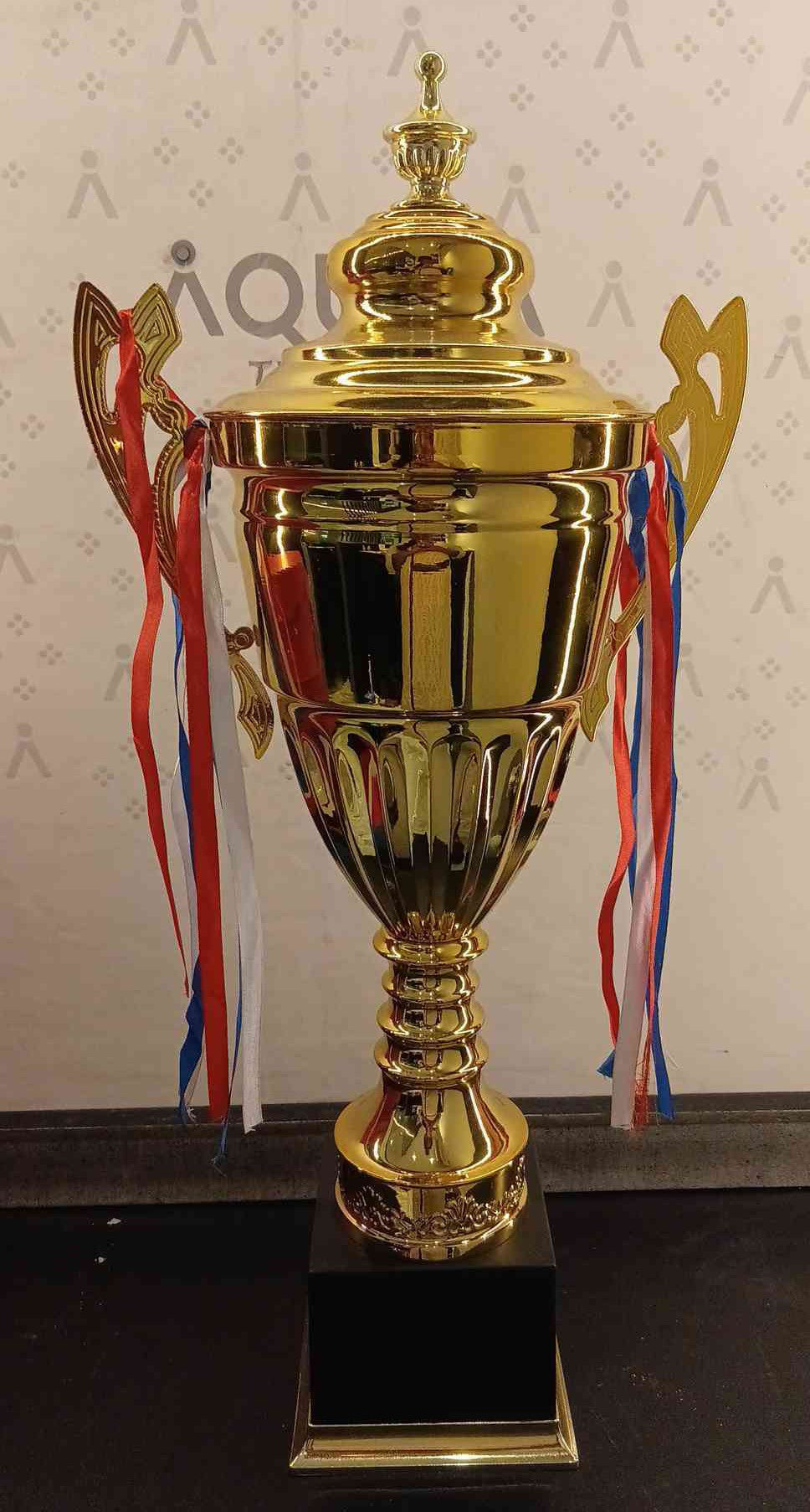 Trophy Metal Mc18 L