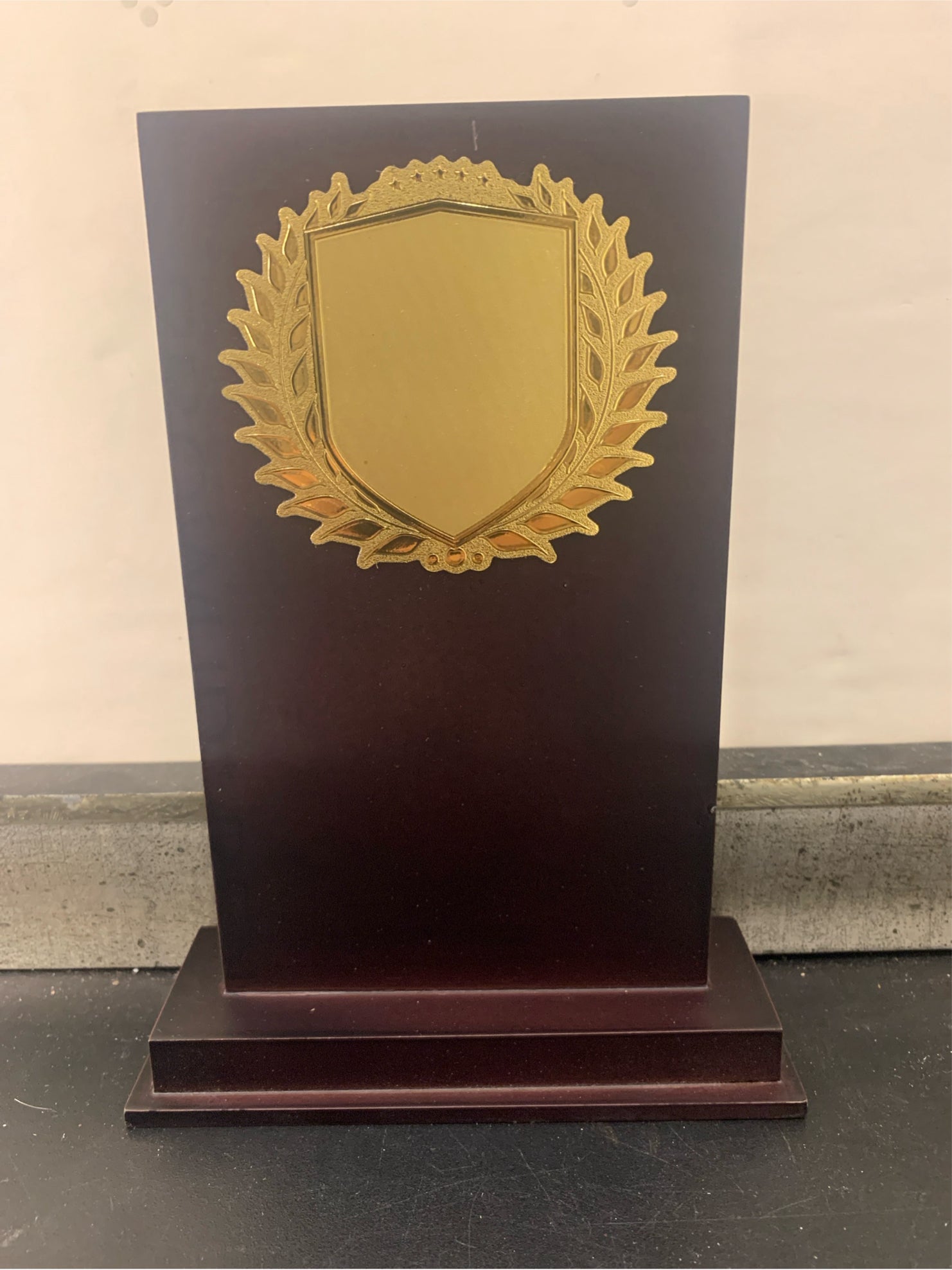 Shield Wood Thin Wood Shield